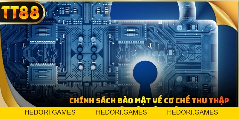 Chính Sách Bảo Mật: Hệ Thống Bảo Vệ An Toàn Top 1 Châu Á - HEDORI