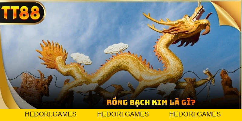 Rồng Bạch Kim 2026 - Phân Tích Luật Chơi Và Cơ Hội Thắng - HEDORI