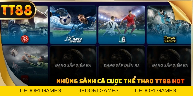 Thể Thao TT88 - Game Cá Cược Được Yêu Thích Nhất Châu Á - HEDORI