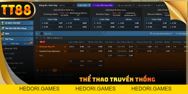 Thể Thao TT88 - Game Cá Cược Được Yêu Thích Nhất Châu Á - HEDORI